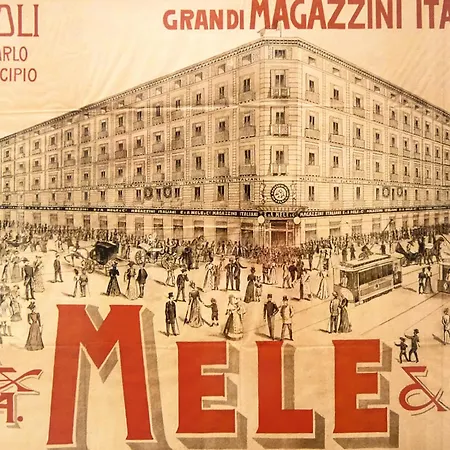 Gli Angioini Srl